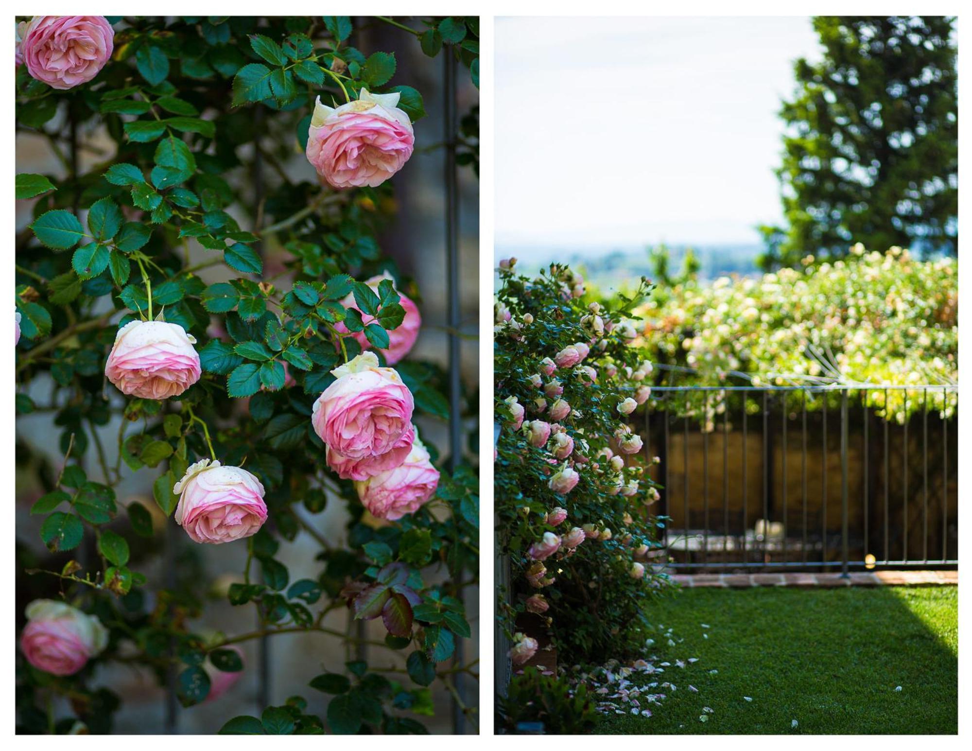 The Tower'S Garden Appartement San Gimignano Buitenkant foto